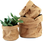 Stylish plant pots made of paper for modern decoration