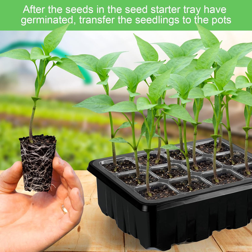 Grow kit with light – Complete set for successful plant cultivation