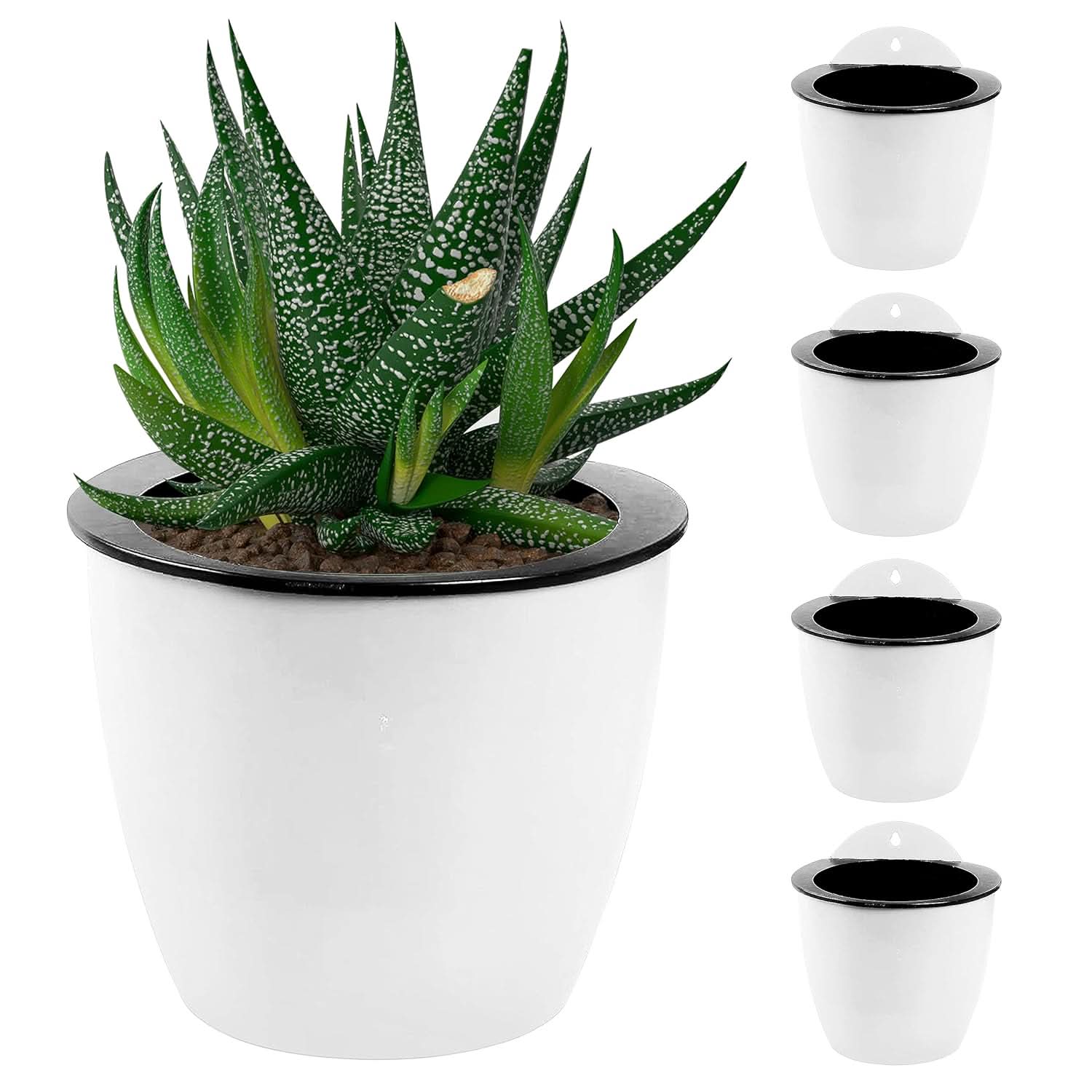 watering flower pot