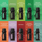 Ultrasound Diffuser & Top 10 Essential Oils - 400ml Diffuser