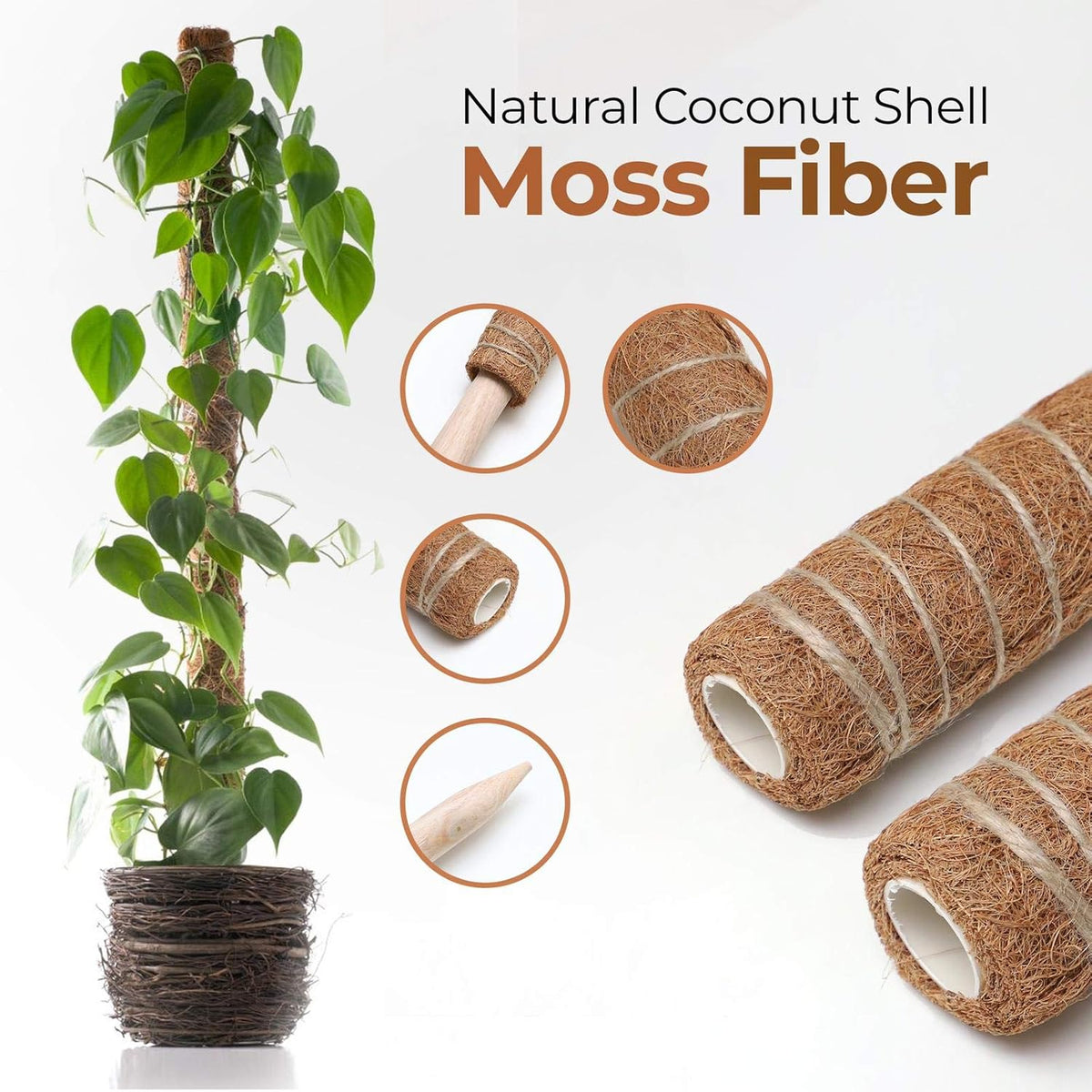 Coconut moss stick for climbing plants – Natural climbing aid for houseplants and garden