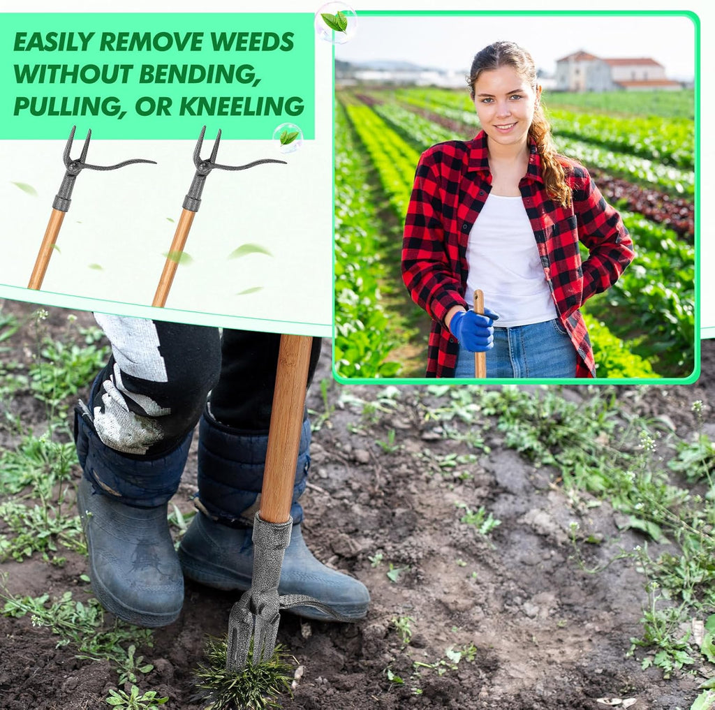Weed puller with 4-claw head – Effective garden tool made of iron for root removal
