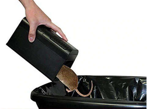 Electric Mouse Trap