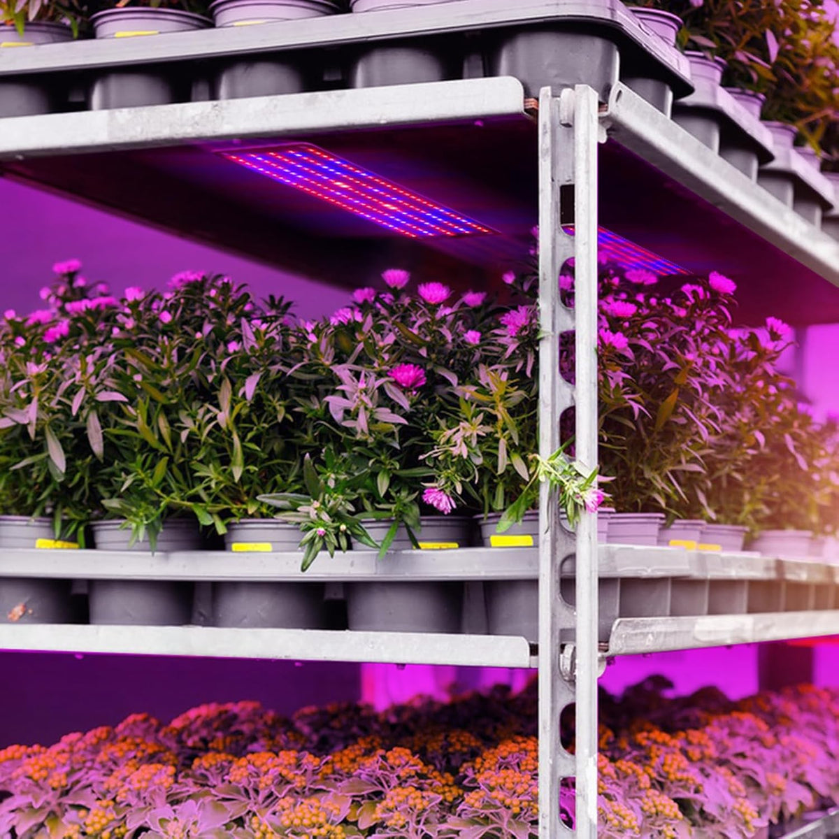 LED Quantum Plant Light Panel for Growth and Color Promotion – With Adjustable Light Mode