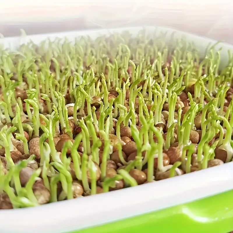 Germination trays with lid – Double-layer seed sowing tray for effective seed germination
