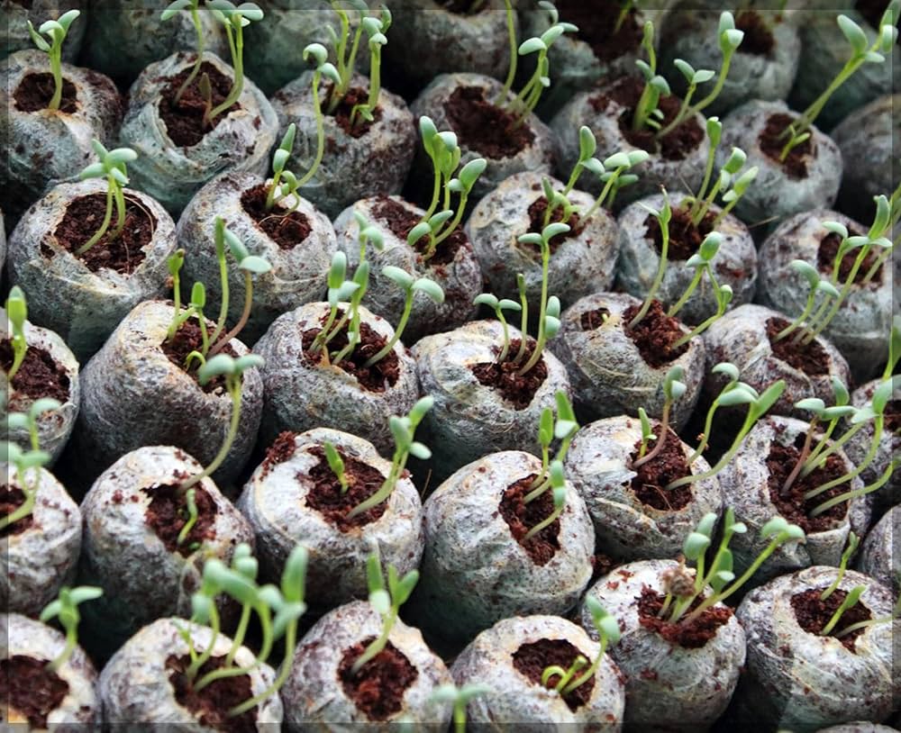 Coconut Fiber Peat Seedling Pellets – Starter for Seed Planting