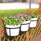 Hanging Plant Basket made of Metal – Balcony Planter Pot with Hook for Garden and Terrace