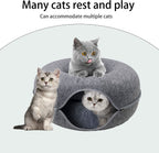 Luxury cat tunnel with sleeping area