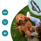 Adjustable Anti Bark Collar for Dogs | Humane, Comfortable & Effective Bark Control Device for Small to Large Breeds