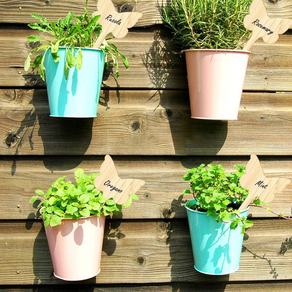 Plant labels made of wood for garden and balcony – Rewritable labels for herbs and plants