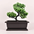 Plant pot with saucer – Rectangular flower pot for garden and balcony