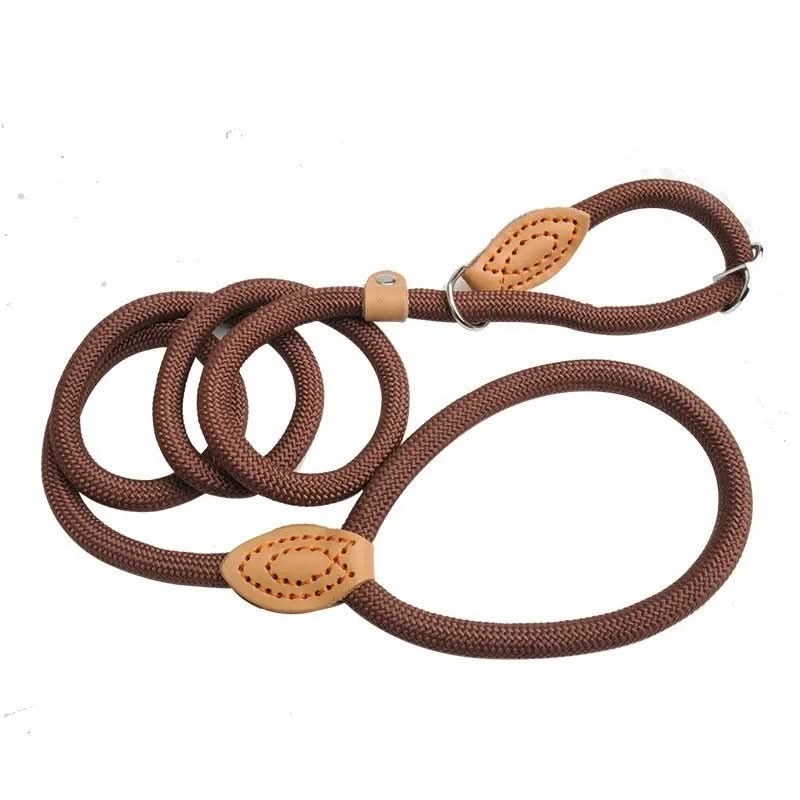 Robust dog leash made from climbing rope for maximum safety