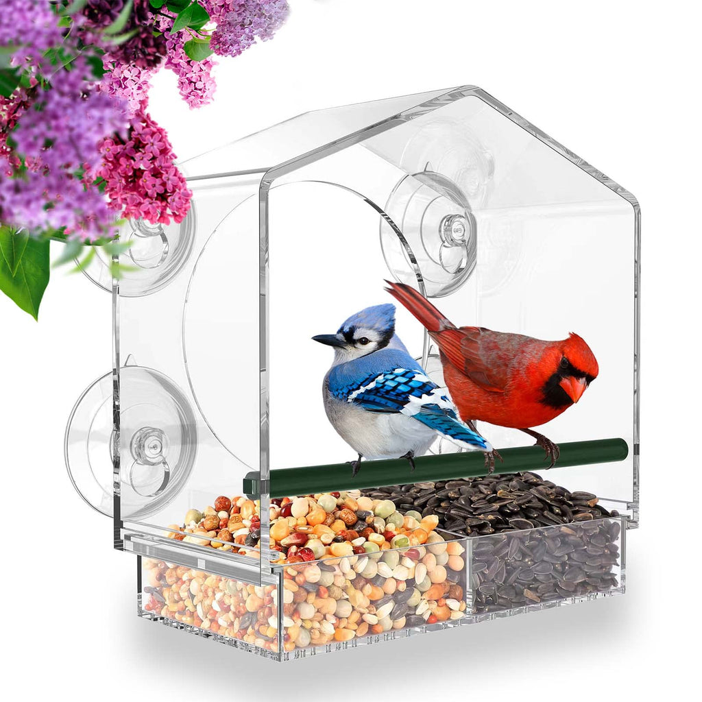 Bird feeder in the window for outdoor use