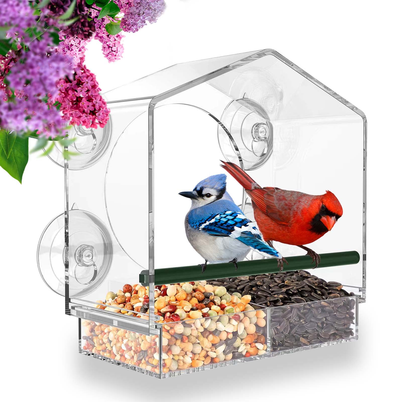 Bird feeder in the window for outdoor use