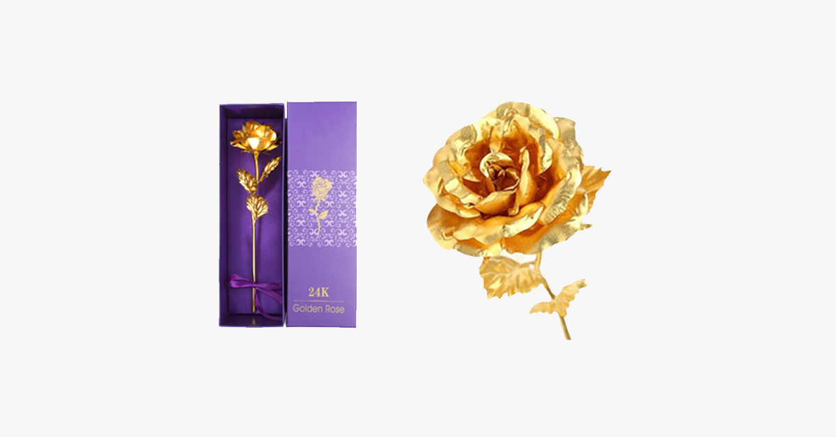 24K gold-plated real rose with gift box