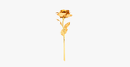 24K gold-plated real rose with gift box