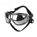 Outdoor Protection Glasses for Dogs