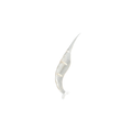 Shrimp Peeler Tool