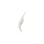 Shrimp Peeler Tool