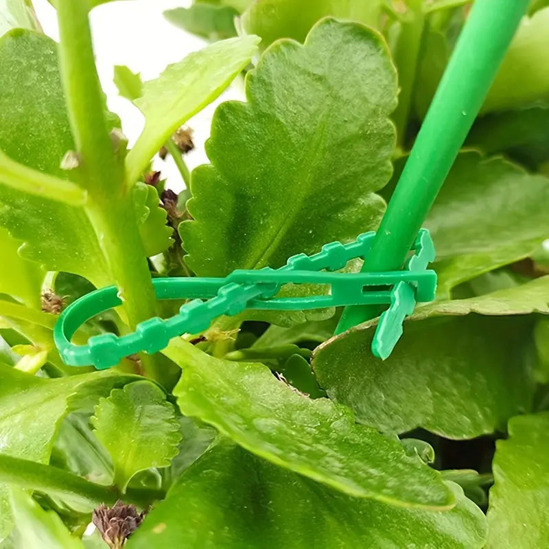 Plant fastening cable tie set for stable securing of plants