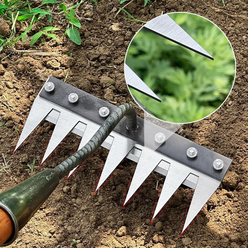 Versatile Handle Rakes For Lawn