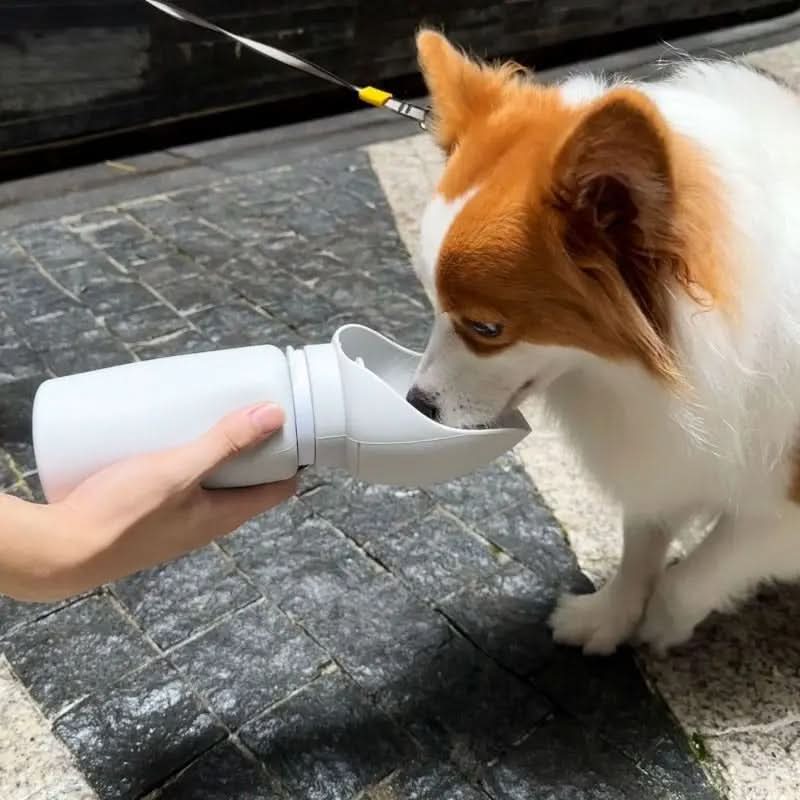 Foldable Water Bottle for Pets with 550 ml Capacity