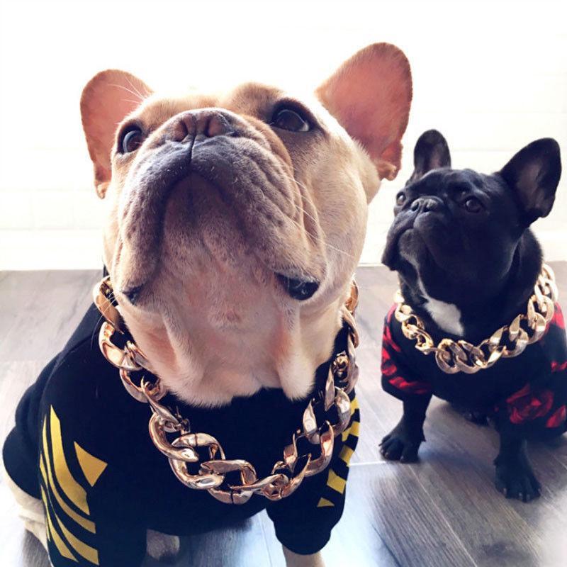 Pet Jewelry Thick Gold Chain Collar