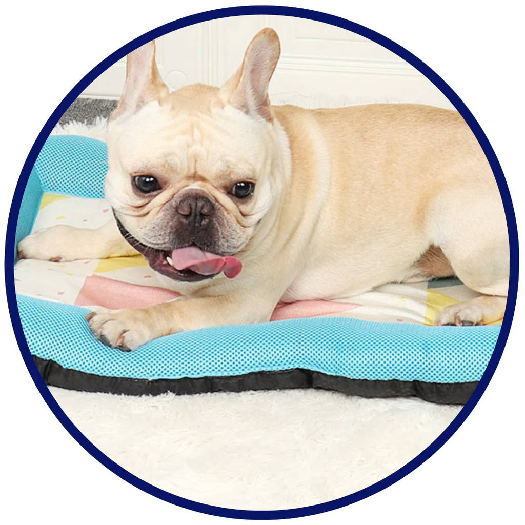 Pet Silk Cooling Mat