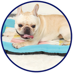 Pet Silk Cooling Mat