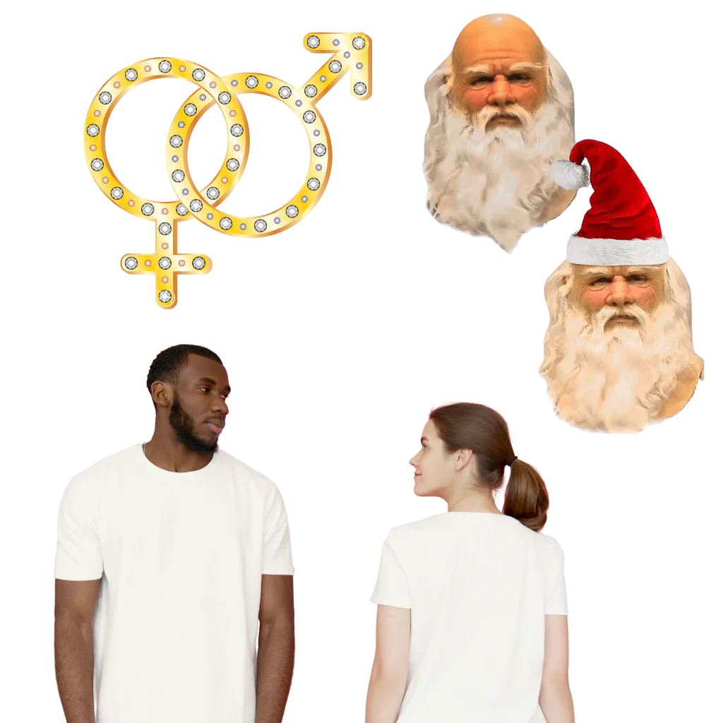 Cosplay Santa Mask