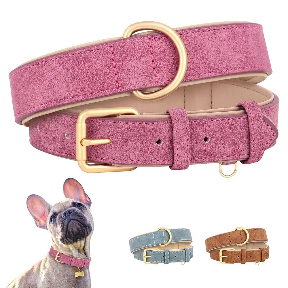 Pup Collar