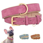Pup Collar