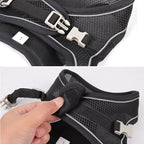 Venture Dish & Leash