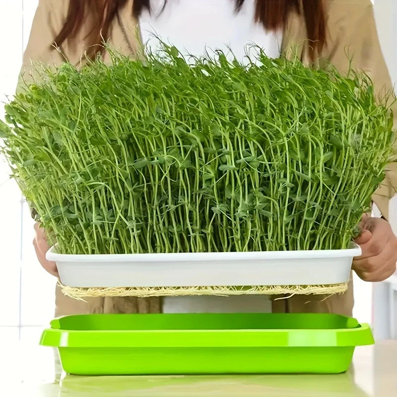 Germination trays with lid – Double-layer seed sowing tray for effective seed germination