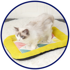 Pet Silk Cooling Mat