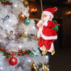 Climbing Santa