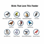 Proof Bird Feeder