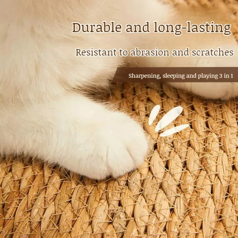 KrazeLuxe Matte — Finally peace from scratching chaos and the favorite spot for your cat