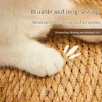 KrazeLuxe Matte — Finally peace from scratching chaos and the favorite spot for your cat