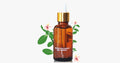 Wonder Nail Essence – The best solution for healthy nails
