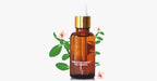 Wonder Nail Essence – The best solution for healthy nails