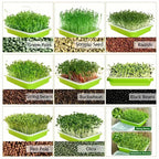 Germination trays with lid – Double-layer seed sowing tray for effective seed germination