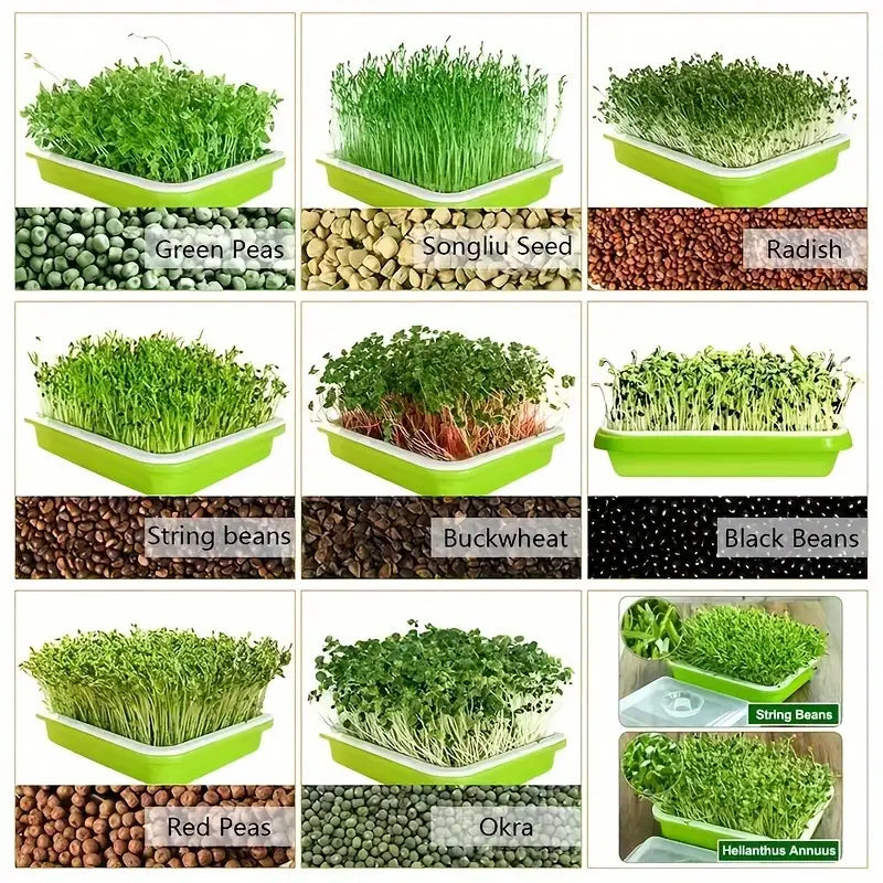 Germination trays with lid – Double-layer seed sowing tray for effective seed germination