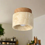 Creative Japanese Ceiling Lamp in Cream Style