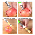 Stainless Steel Fruit Pits