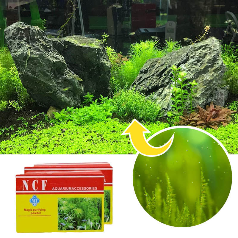 Aquarium Cleaning Powder