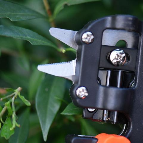 Refinement scissors for garden – Precise cutting tools for grafting and refining plants