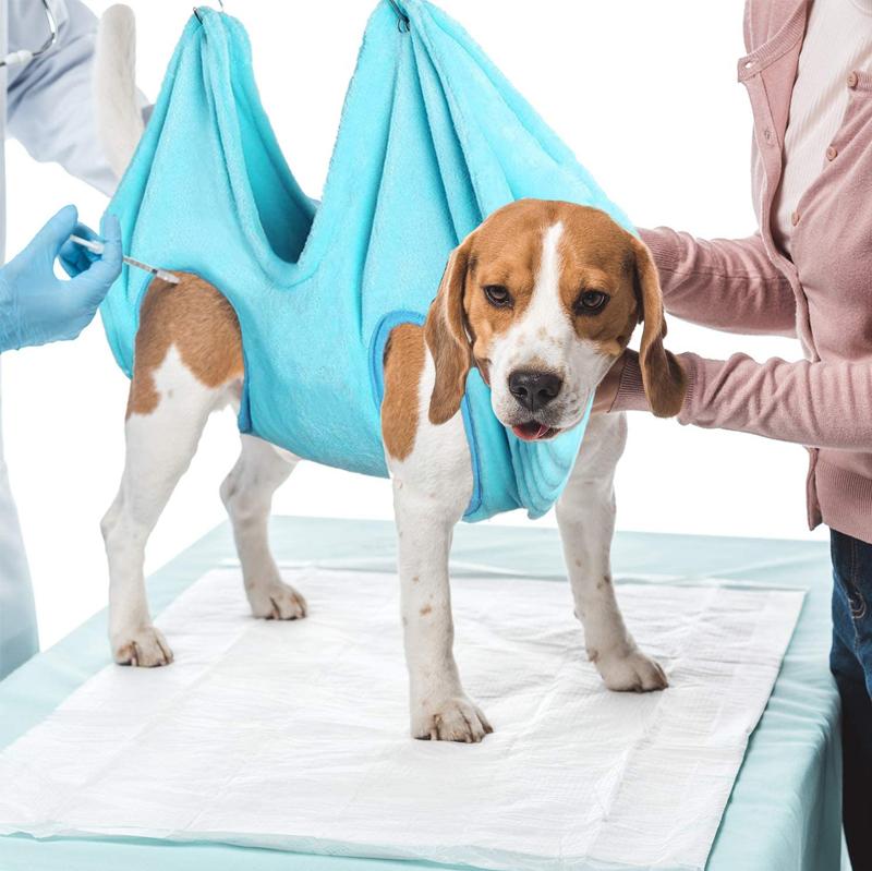 Pet Care Hammock