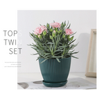 Flower pot with groove structure and saucer – Sturdy plastic pot for plants