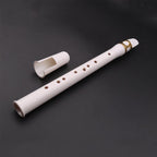 Key of C Two Octave Range Bag Travel Saxophone